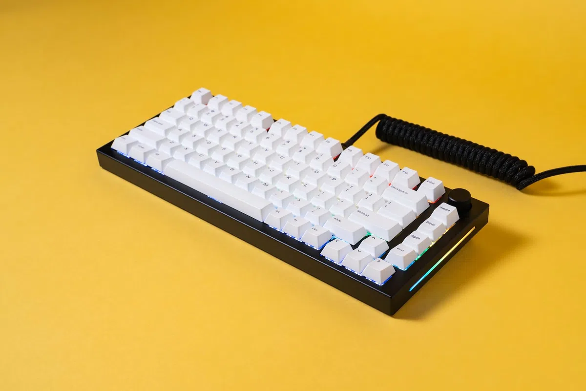 GLORIOUS Gaming GMMK PRO 75% - Tastiera da Gaming mecc.a modulare, TKL, Struttura da 1,5 kg, Personalizzabile, Cavo a Spirale, poggiapolsi, Tasti in PBT Bianchi, RGB, layout QWERTY Americano - Nero