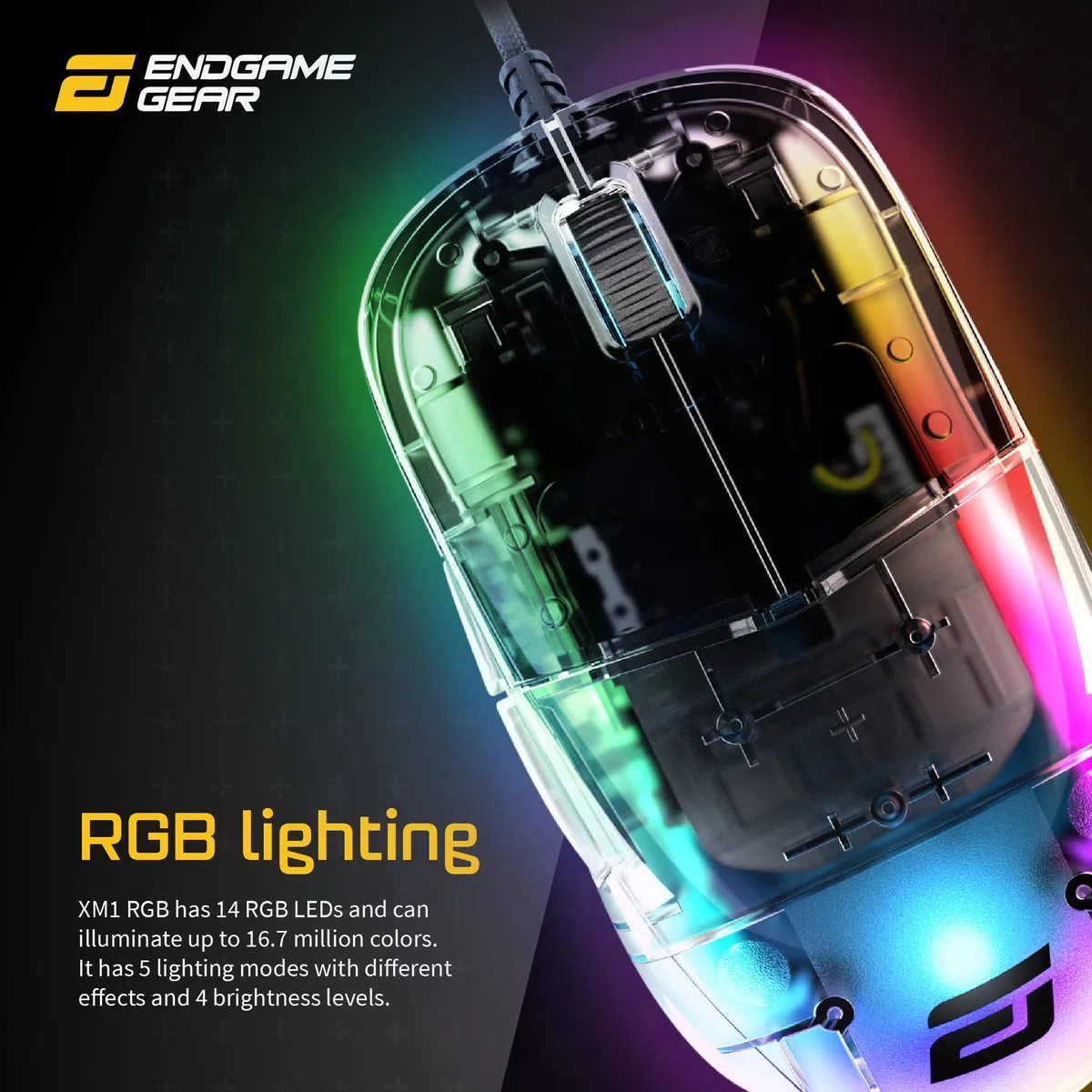 Endgame Gear Compatible XM1 RGB Gaming Maus - Dark Reflex