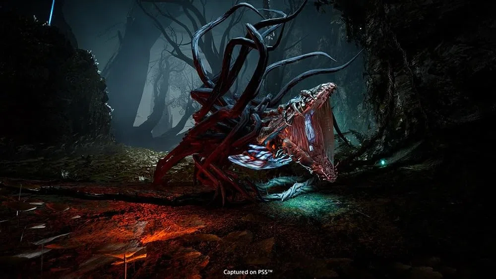 Sony Restituzione (PS5) (PS5)