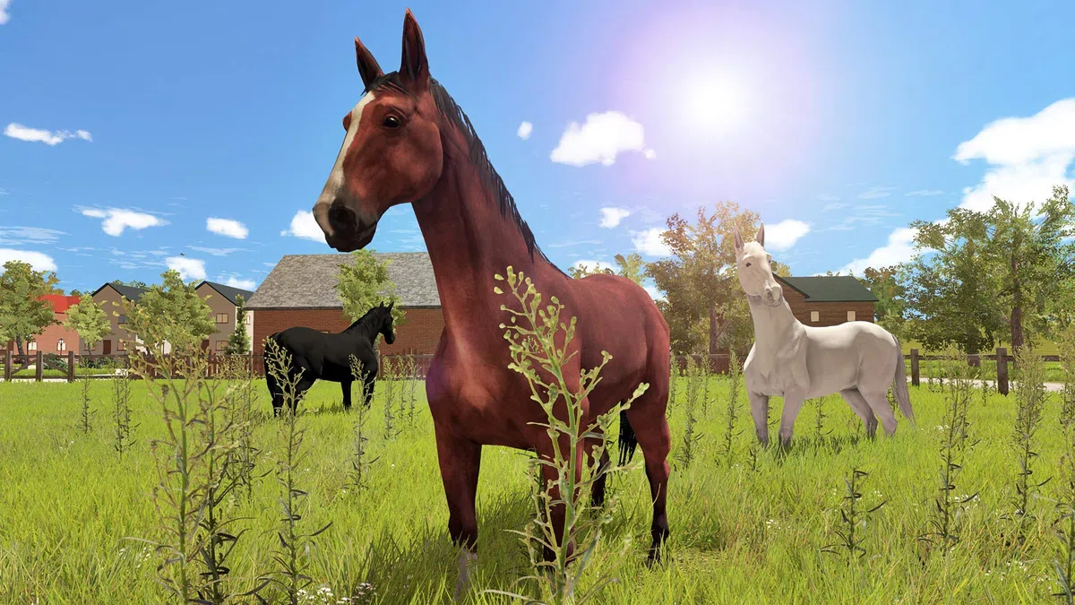 My Little Riding Champion - Classics - PlayStation 4