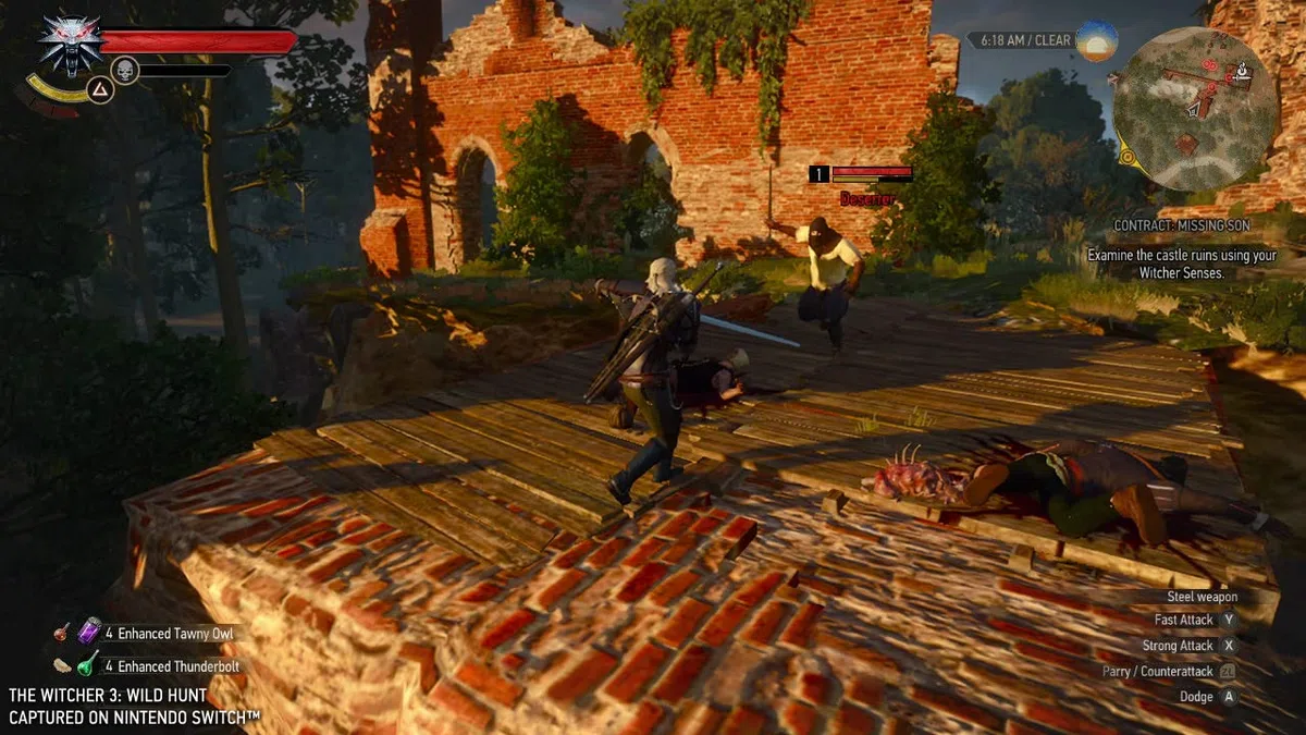 Bandai Namco Entertainment The Witcher 3: Wild Hunt (Switch)