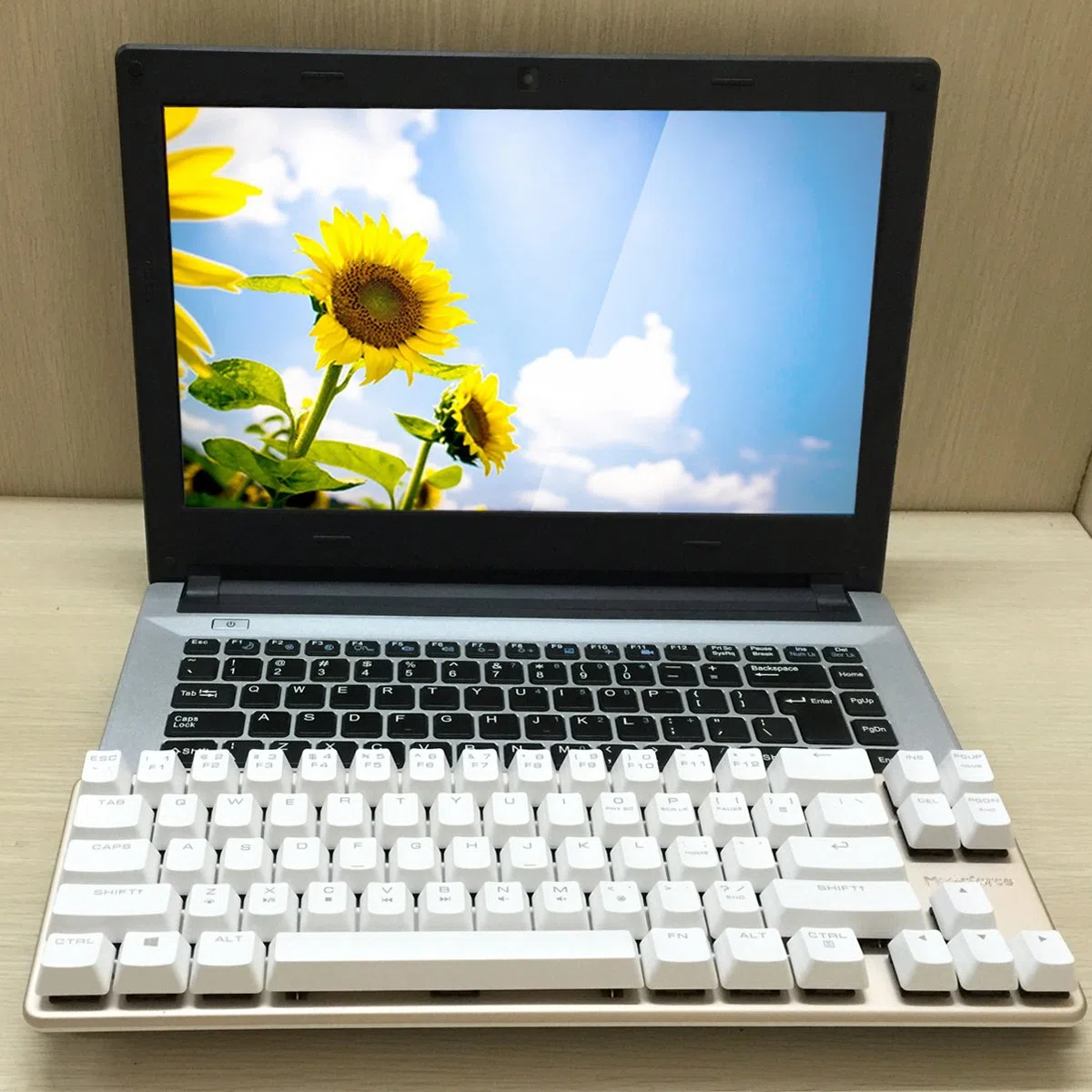 Qisan Meccanico Fissato La Tastiera Interruttore Blu 68-Keys Mini Design (60%) Gaming Keyboard Bianco Argento Magicforce