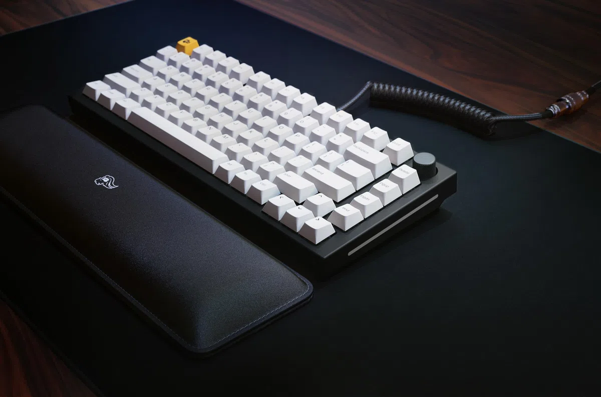 GLORIOUS Gaming GMMK PRO 75% - Tastiera da Gaming mecc.a modulare, TKL, Struttura da 1,5 kg, Personalizzabile, Cavo a Spirale, poggiapolsi, Tasti in PBT Bianchi, RGB, layout QWERTY Americano - Nero