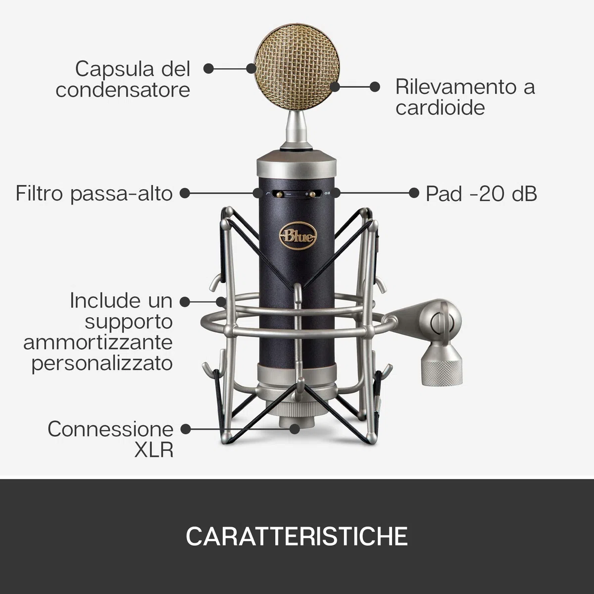 Blue Baby Bottle SL Microfono a Condensatore XLR | Per la Registrazione e lo Streaming, Capsula Cardioide a Membrana Grande, Shock Mount e Custodia Protettiva - Nero