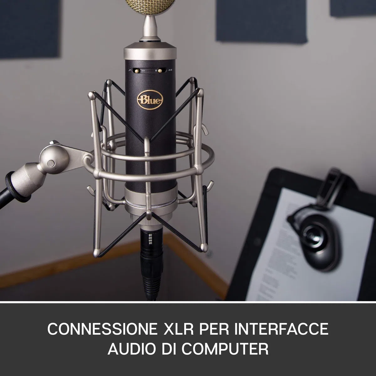 Blue Baby Bottle SL Microfono a Condensatore XLR | Per la Registrazione e lo Streaming, Capsula Cardioide a Membrana Grande, Shock Mount e Custodia Protettiva - Nero